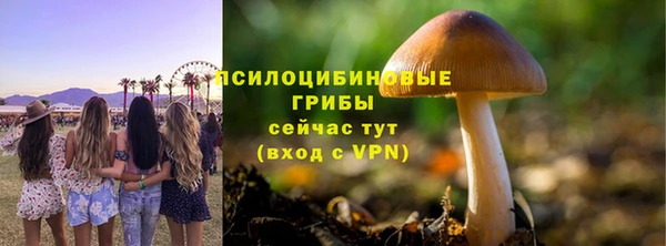 эйфоретик Абаза