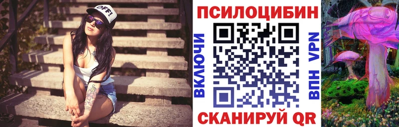сайты даркнета формула  как найти закладки  Ефремов  Галлюциногенные грибы Cubensis 