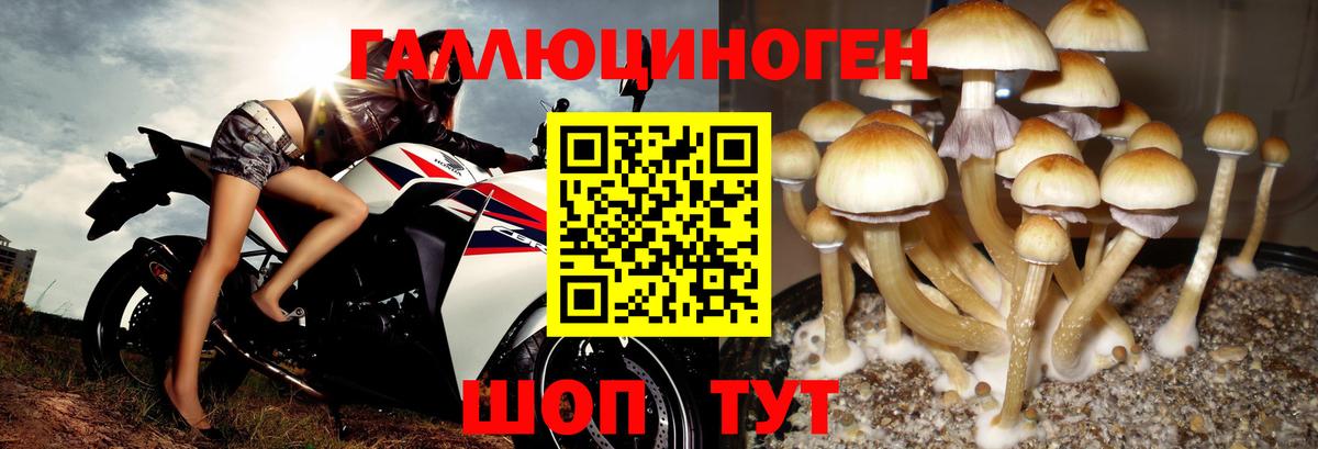 Галлюциногенные грибы мухоморы Ефремов