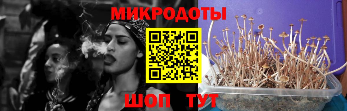 Галлюциногенные грибы GOLDEN TEACHER  Галлюциногенные грибы мухоморы  Вход с VPN  Ефремов 